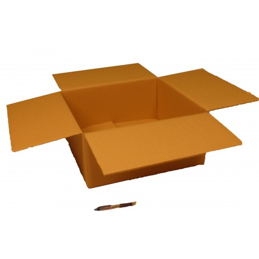 Caja de cartón canal doble 25 x 20 x 15 cm